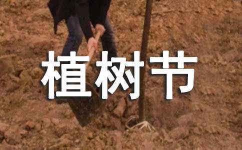 篮球训练教案和进度表_0